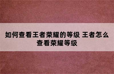 如何查看王者荣耀的等级 王者怎么查看荣耀等级